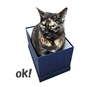 My Tortoiseshell cat Mario's Sticker
