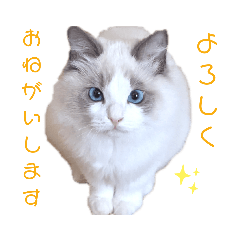 yun_20210421170959