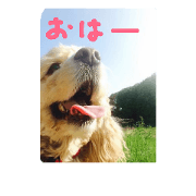 ruru&nono