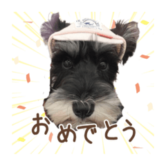 Ayano_20210421172638