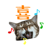 Cat fun fun stamp