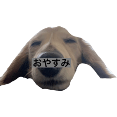 rina_20210421170121