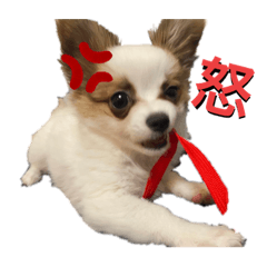 hikari_20210421171823