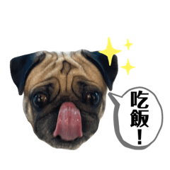 偶是NaNa!