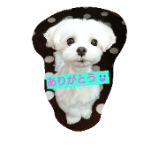 rinmaru