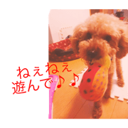 dog's photo stamp