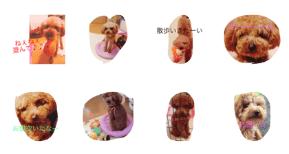 dog's photo stamp