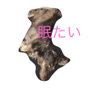 cute rinchan