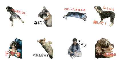 hamoni