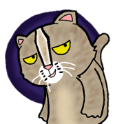Batanyan of Tsushima cat