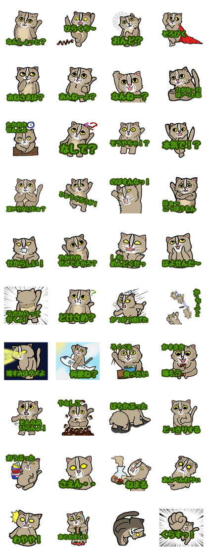Batanyan of Tsushima cat
