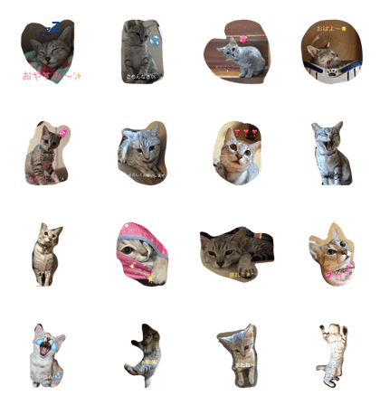 egyptian mau life of ru-na