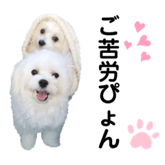 Sharon_20210421222211