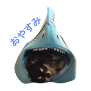 ashustanpudayo