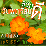Hello Flowers