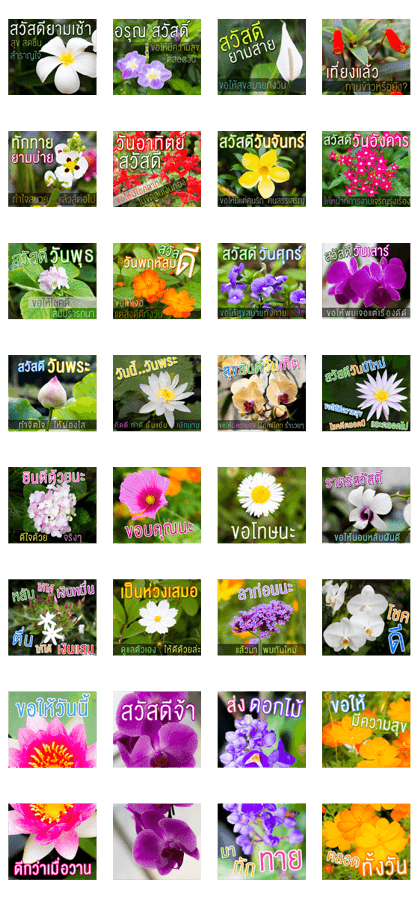 Hello Flowers