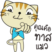 Story of Cat