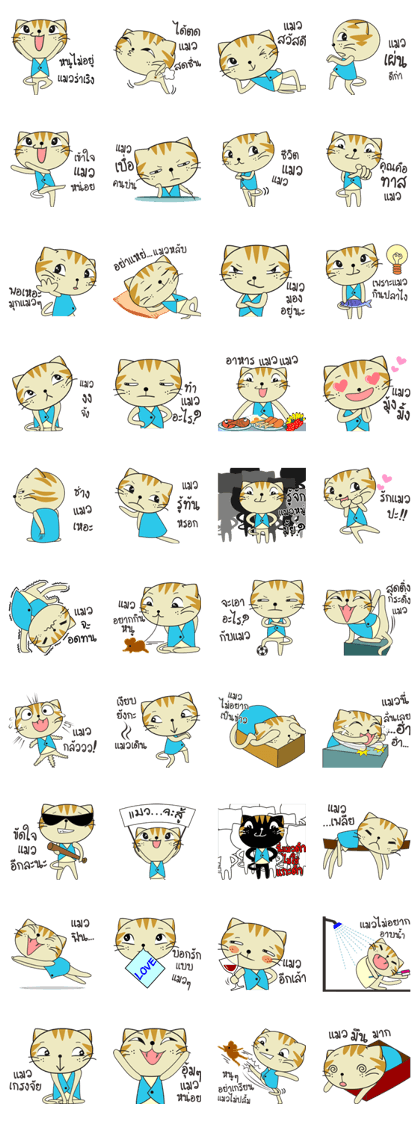 Story of Cat