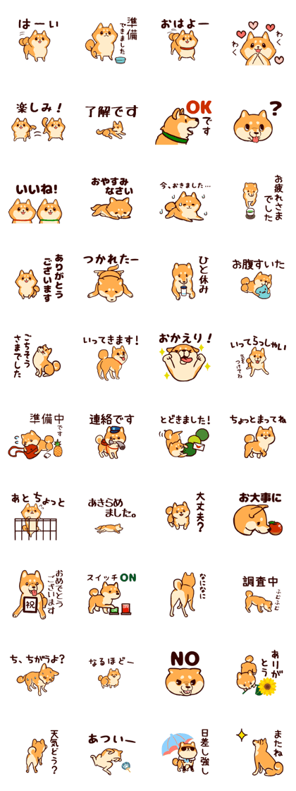 shibainudog2