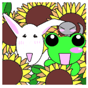 Only for summer Frog Rabbit Snake