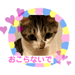 makisim_20210421183142
