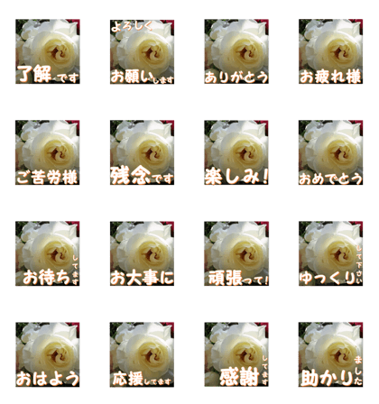 Greetings message of the rose_Iceberg_J