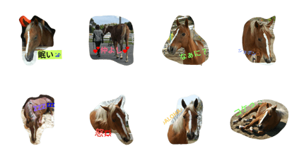 happy horse