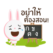 Bunbun little rabbit