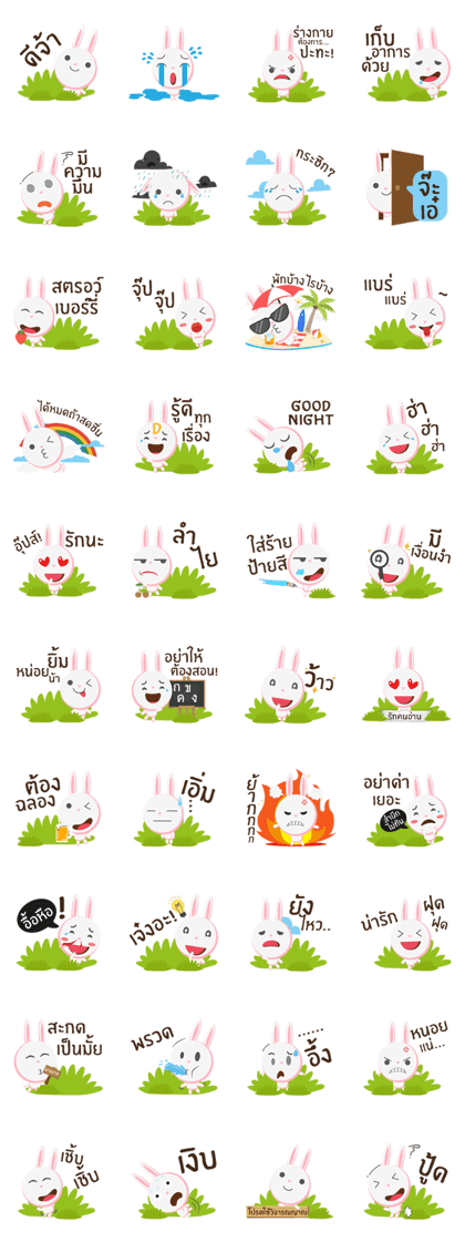 Bunbun little rabbit