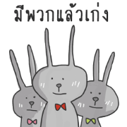 My gray rabbit