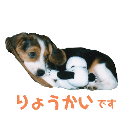 michiko_20210422011709