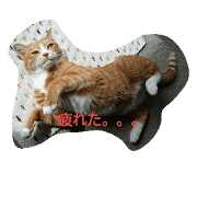 TOTOBOY