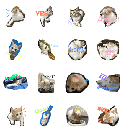 Best cool cat3