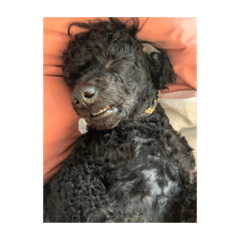 tomomi_20210422083713