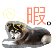 taakuntoaoi2