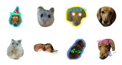 petchan