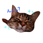 NODOKA2
