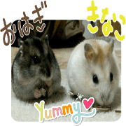 Hmuchans"Ohagi&Kinako"