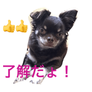 perosutanpu