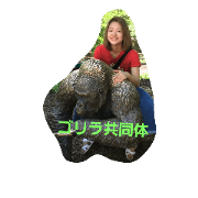 aoistamps