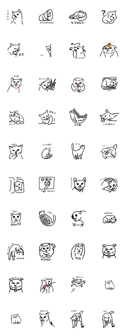 CAT ECOLOGY
