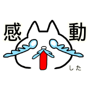 Expressive cat... 4