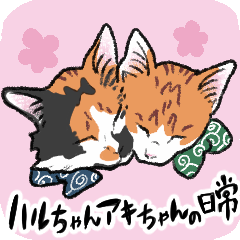 Cat's Haru & Aki