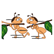 Naughty and Full Energy Ants