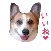 Corgi MONAKA 2nd