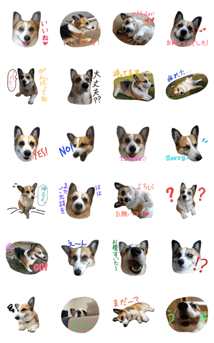 Corgi MONAKA 2nd