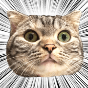Vivi cat Sticker