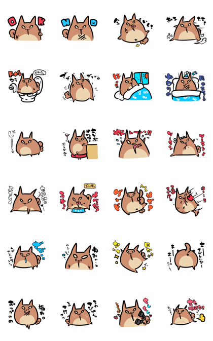 Shiba Dog Tanu