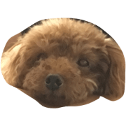 Nasubikun