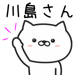 Cat For KAWASHIMA